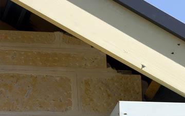 soffit repair Tinkers End
